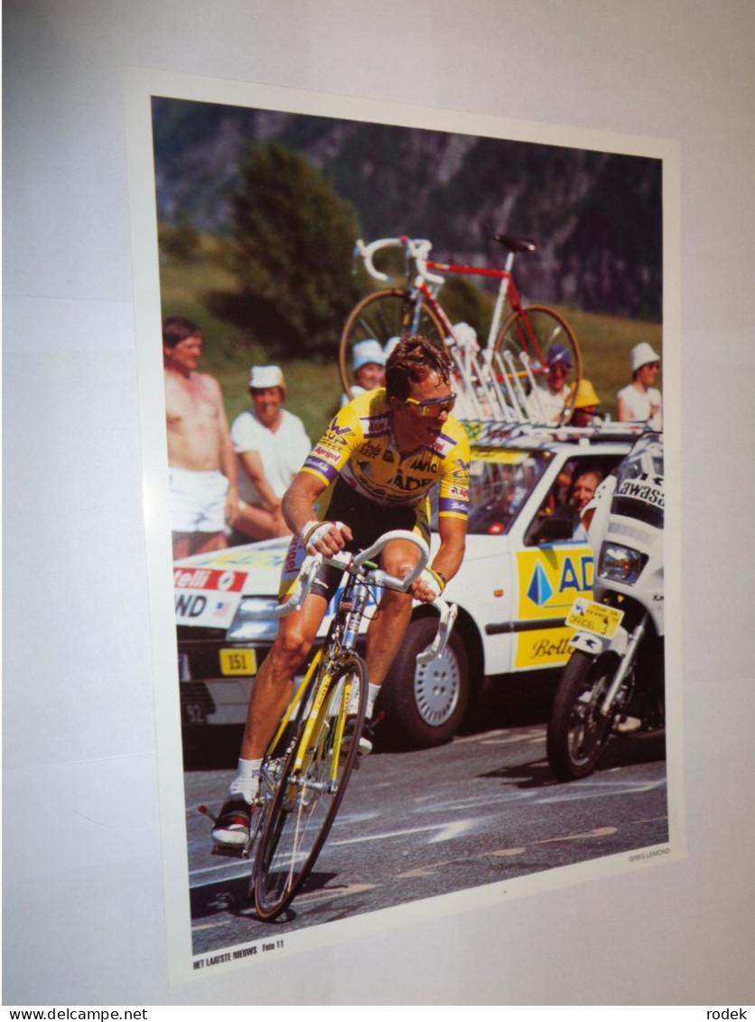 4 Foto's ( 35 Cm X 25 Cm ) Jacques Anquetil, Eddy Merckx, Louison Bobet, Greg Lemond - Cycling