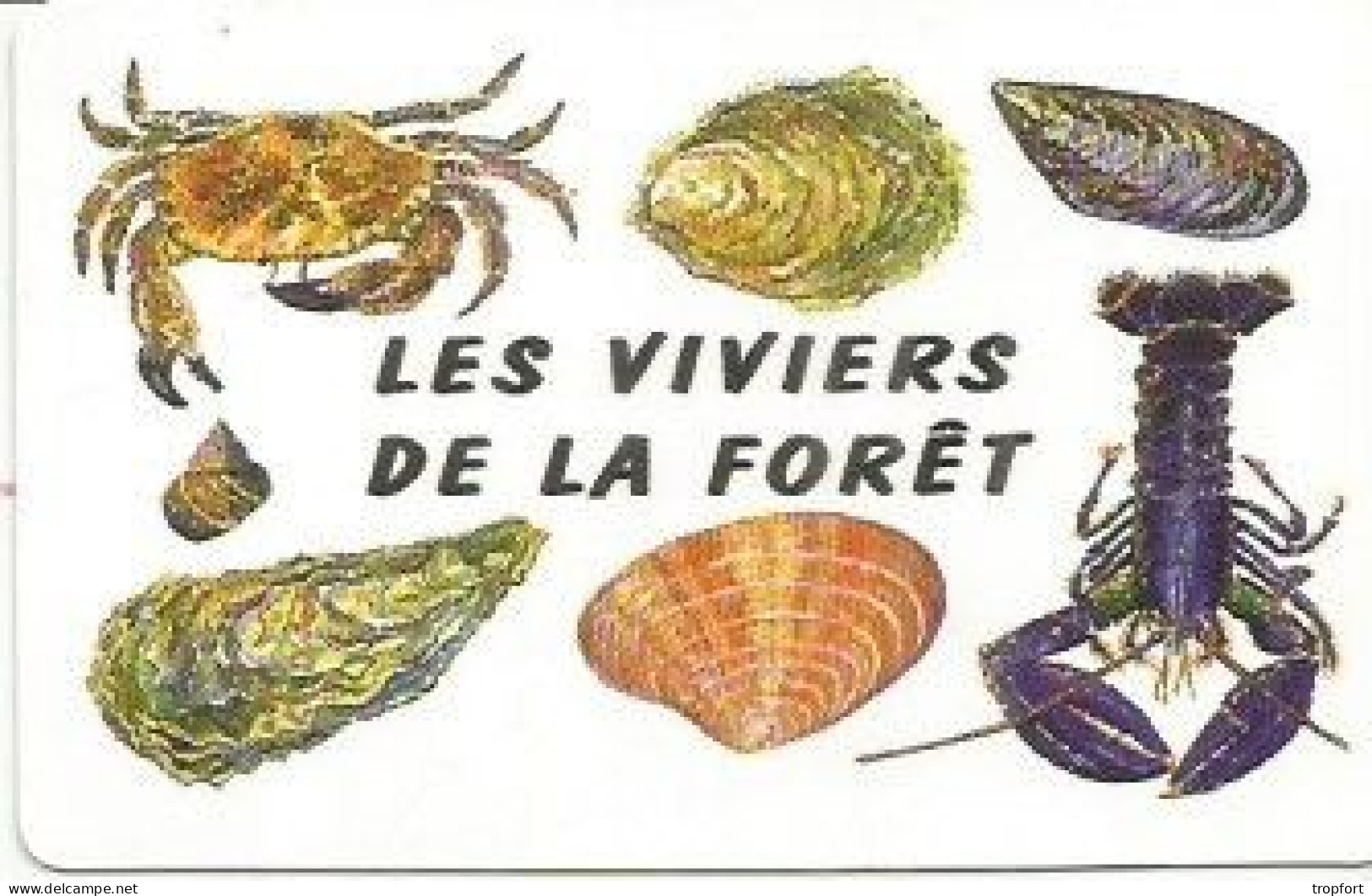 Carte De Visite Les VIVIERS De La FORET  29 LA FORET FOUESNANT  Coquillage Shell - Visitekaartjes