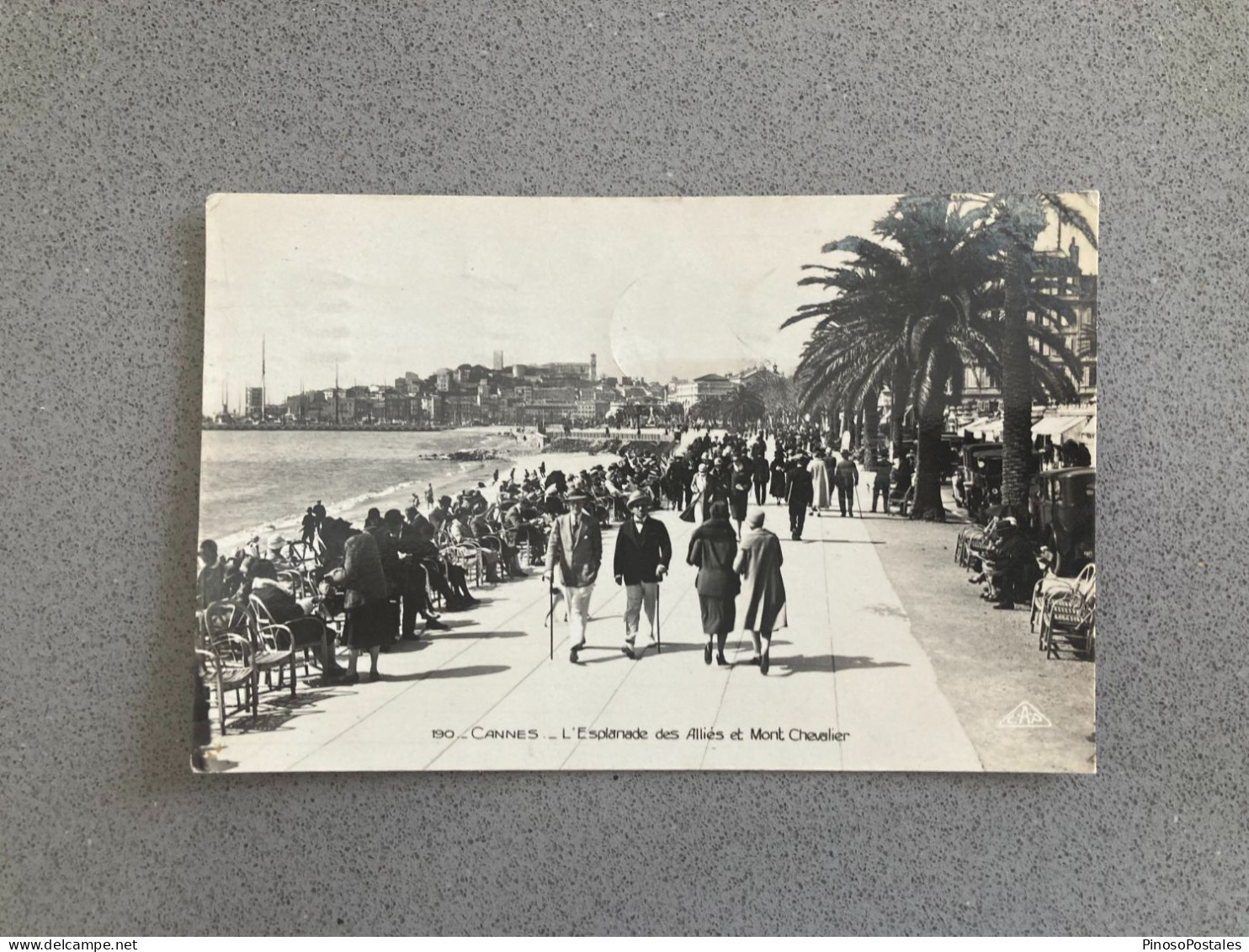 Cannes - L'Esplanade Des Allies Et Mont Chevalier Carte Postale Postcard - Cannes