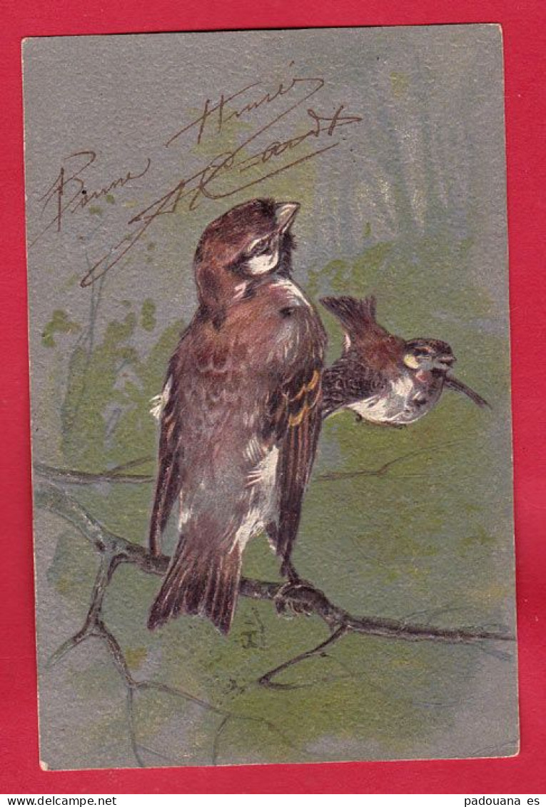 AE509 FANTAISIES OISEAUX MOINEAUX ANNEE 1904 CARTE PRECURSEUR GAUFREE - Birds