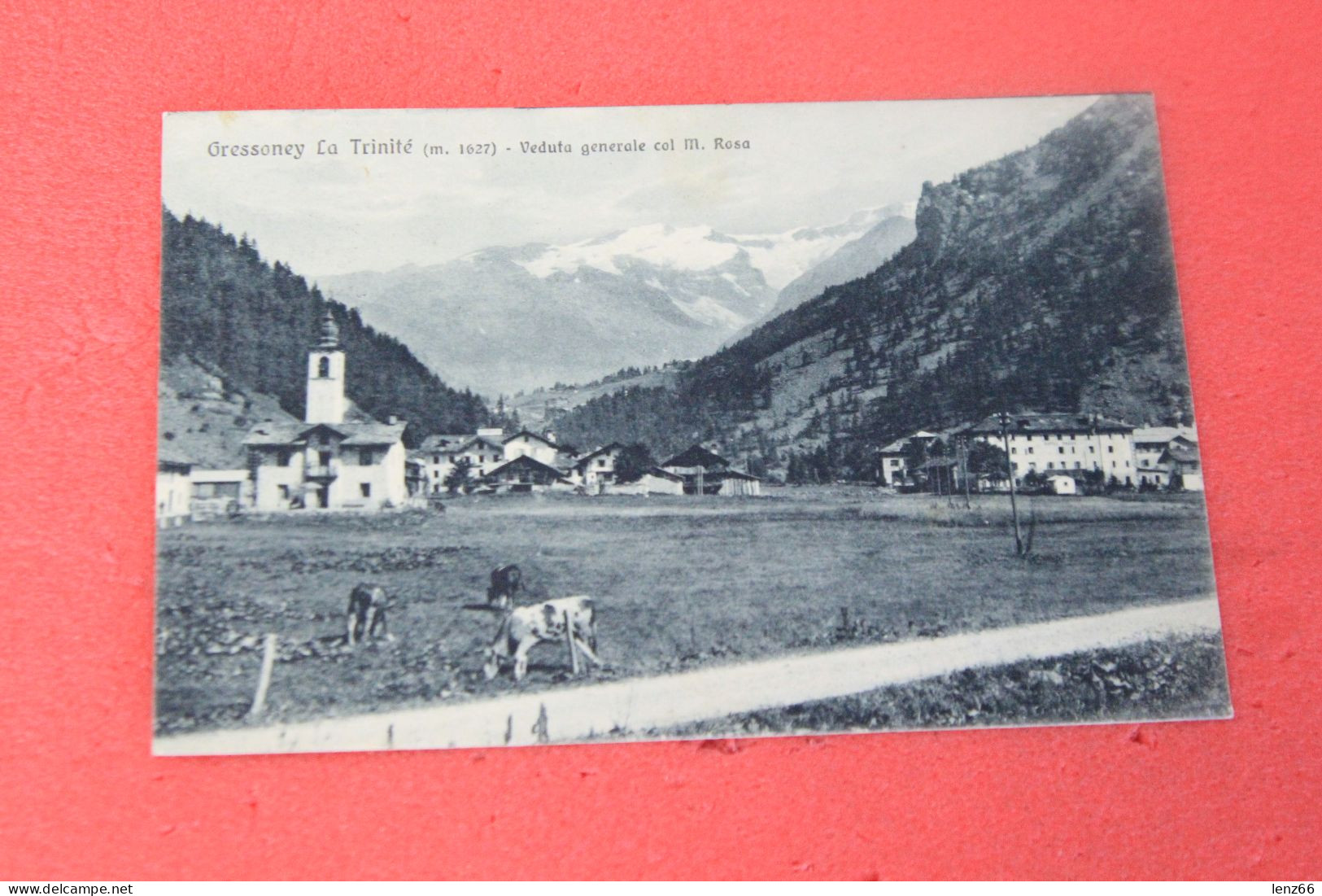 Aosta Gressoney Trinité 1929 Ed. Brunner - Aosta