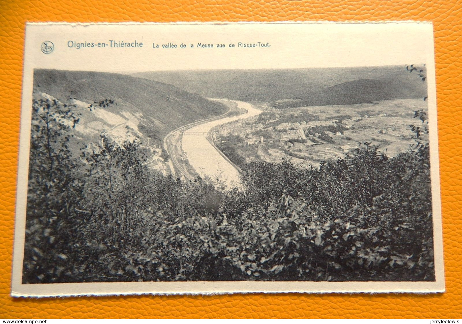 OIGNIES-en-THIERACHE -  La Vallée De La Meuse Vue De Risque-Tout - Viroinval