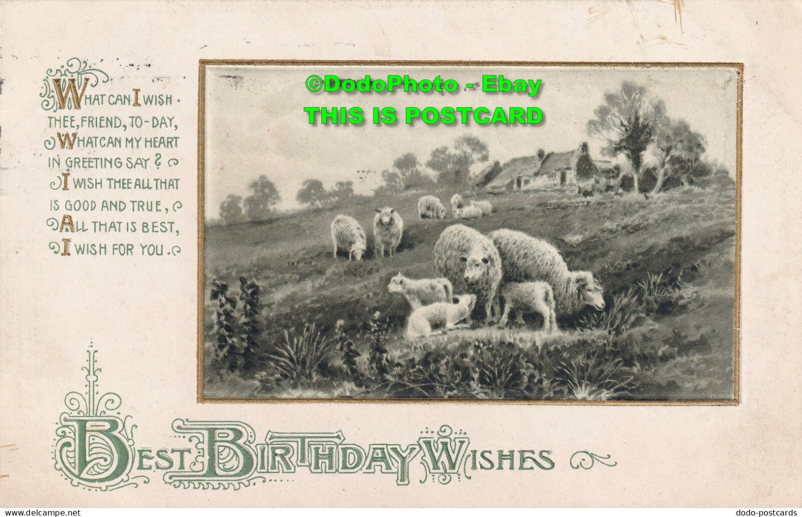 R420180 Best Birthday Wishes. Sheep In Meadow. Wildt And Kray. Series 2407 - World