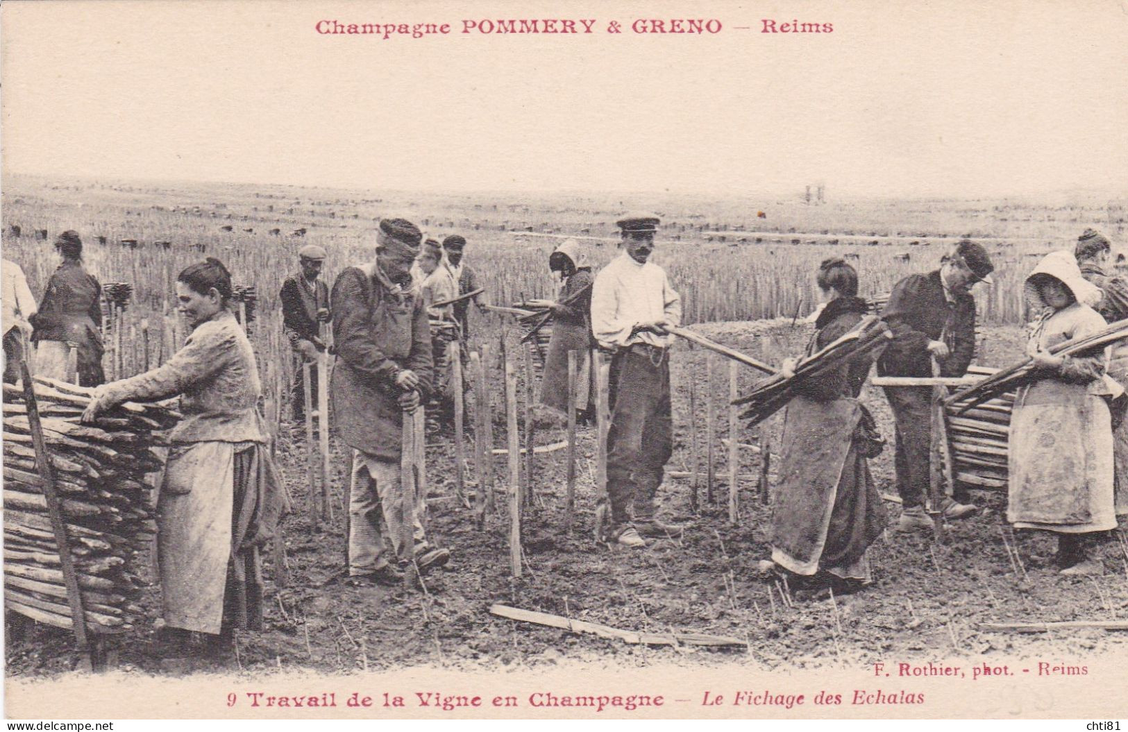 DEP51.......TRAVAIL DE LA VIGNE EN CHAMPAGNE ...FICHAGE DES ECHALAS - Andere & Zonder Classificatie