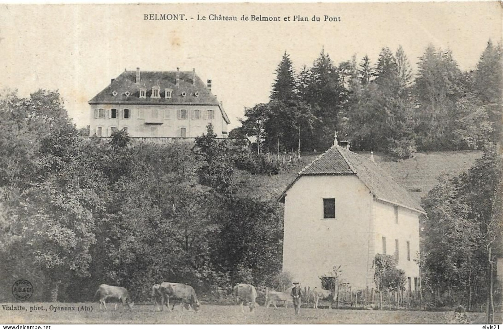 BELMONT Le Château Et Plan Du Pont - Unclassified