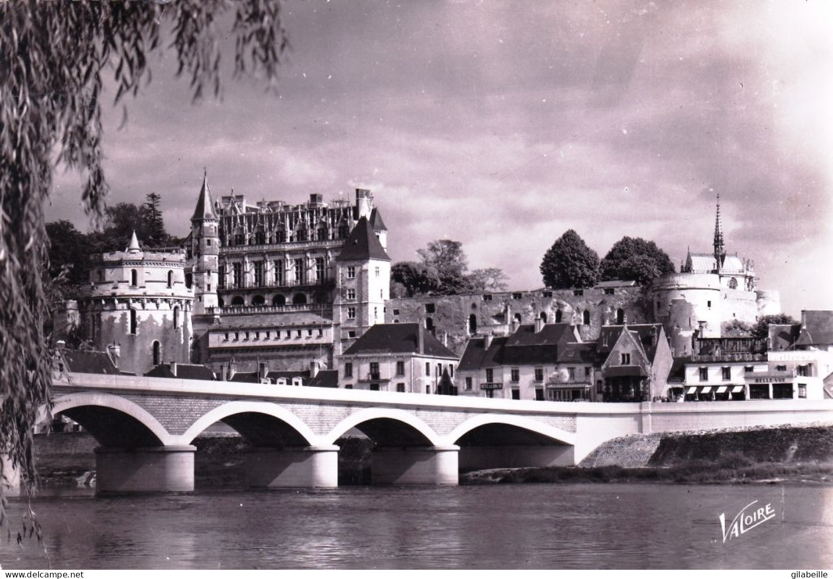 37 - Indre Et Loire -  AMBOISE - Le Chateau - Amboise