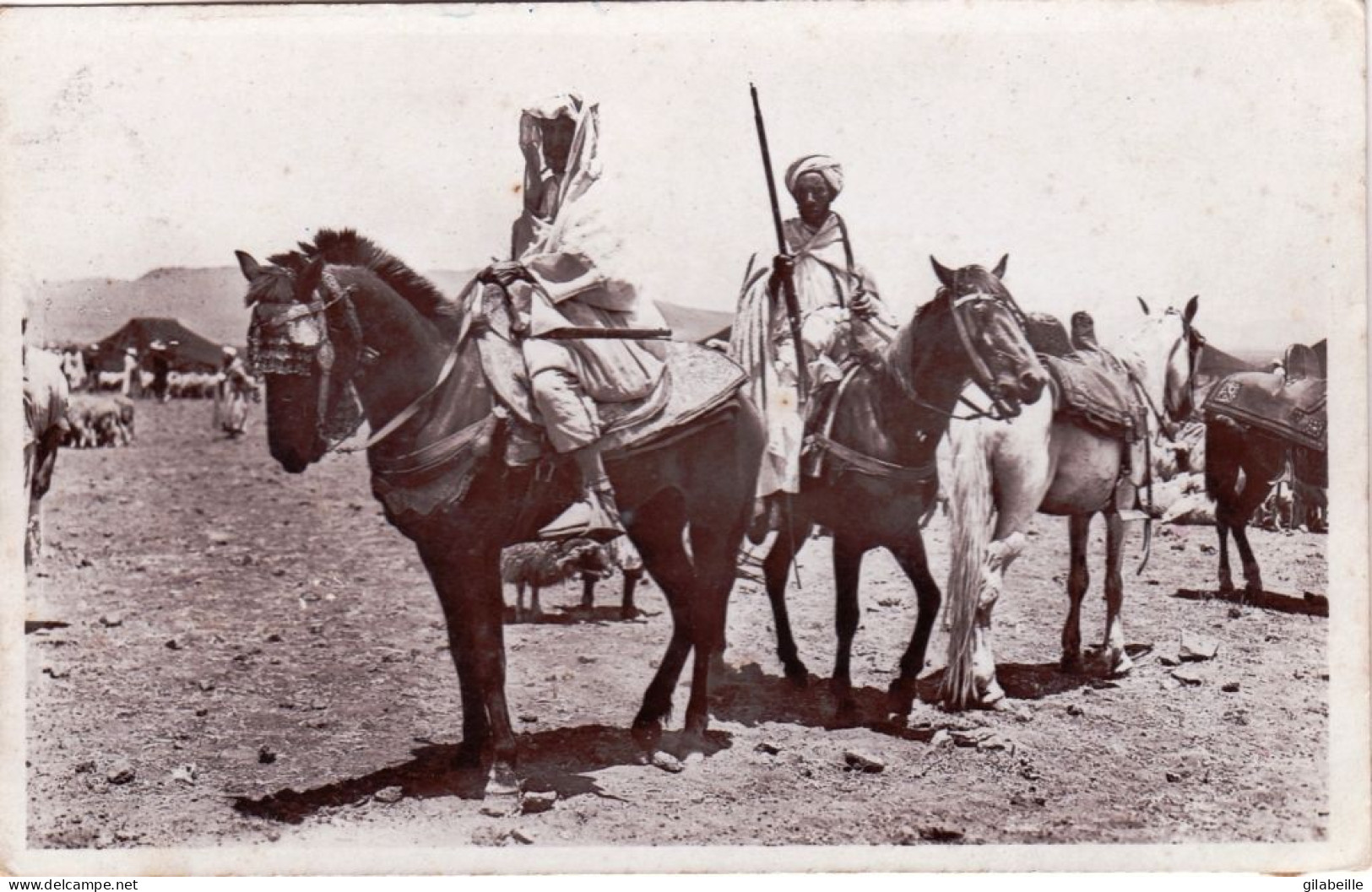 Algerie -  Scenes Et Types -  Cavaliers Du Sud - Scenes