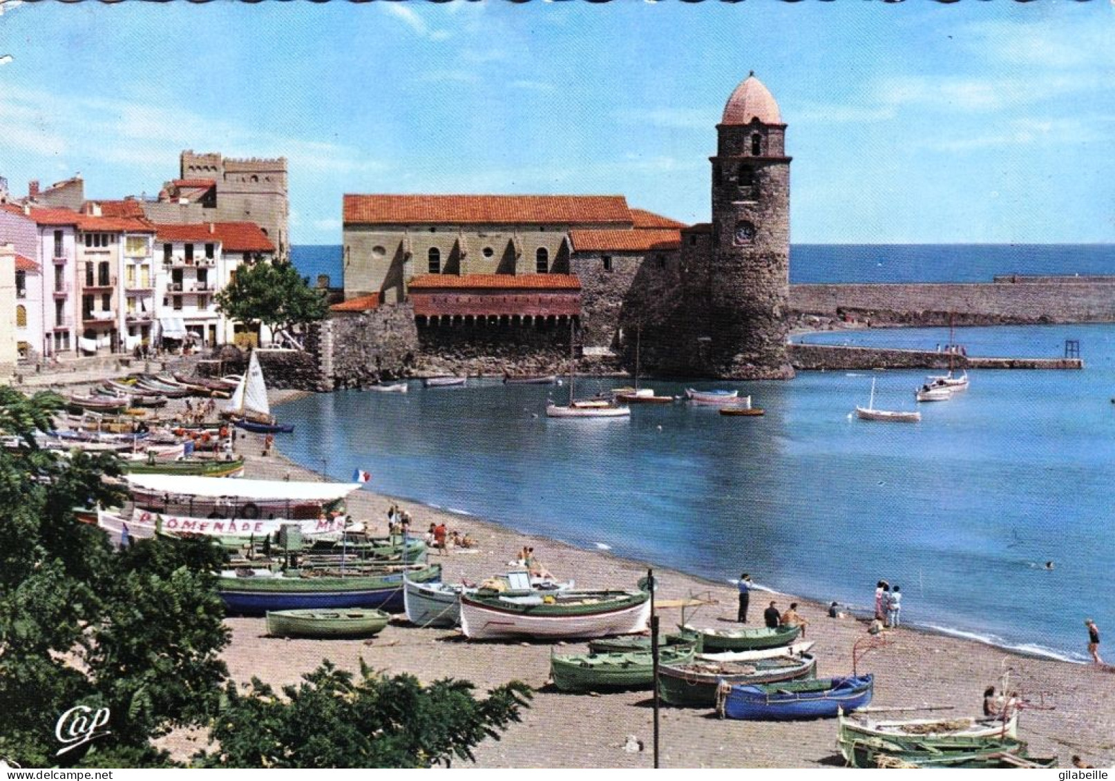 66 - COLLIOURE - Le Port - Collioure