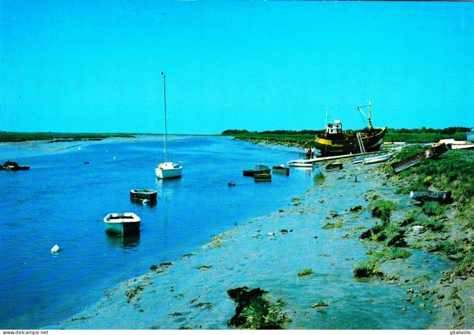 62 - Pas De Calais -  BERCK PLAGE - La Baie D Authie - Berck