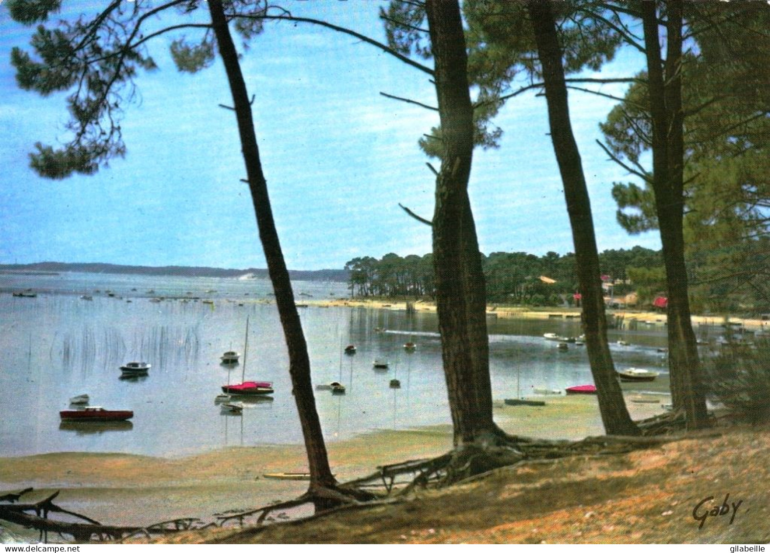 33 - Gironde -  Bassin D ARCACHON - La Pointe Aux Chevaux - Arcachon