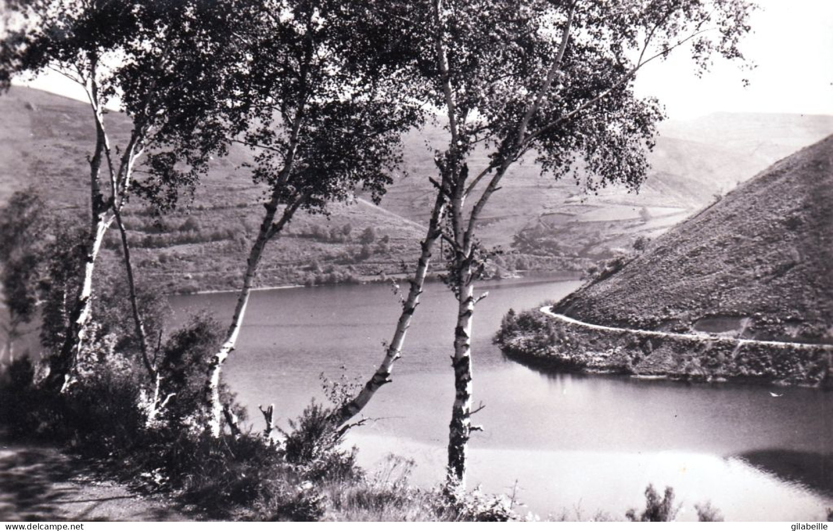 12 - Aveyron -  SAINTE GENEVIEVE Sur ARGENCE - Lac De Sarrans - Sonstige & Ohne Zuordnung