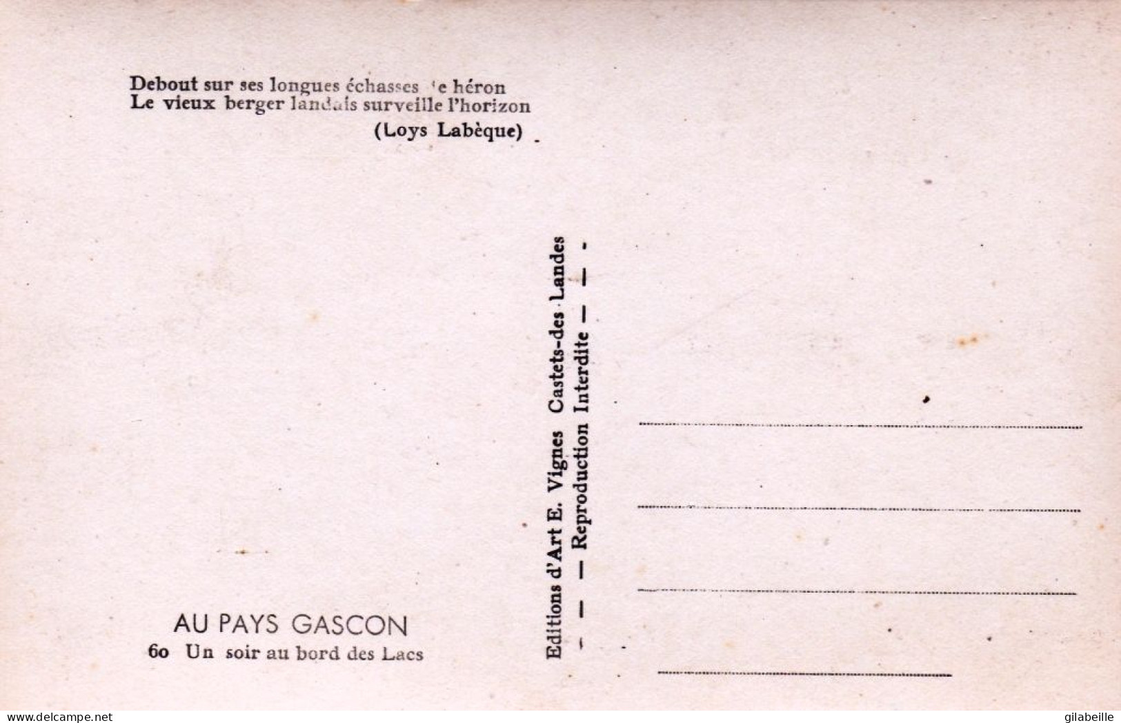 40 - Landes - Au Pays Gascon - Un Soir Au Bord Des Lacs - Berger Sur Ses Echasses Et Son Troupeau De Moutons - Other & Unclassified