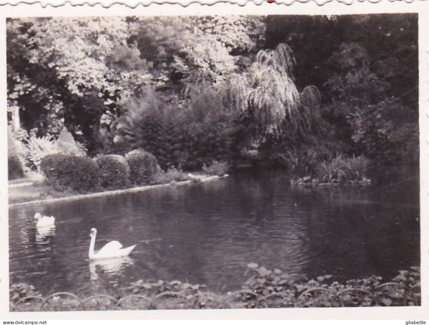 Photo 5.8 X 4.5 -  COGNAC ( 16 ) Jardin Public - Aout 1934 - Lieux