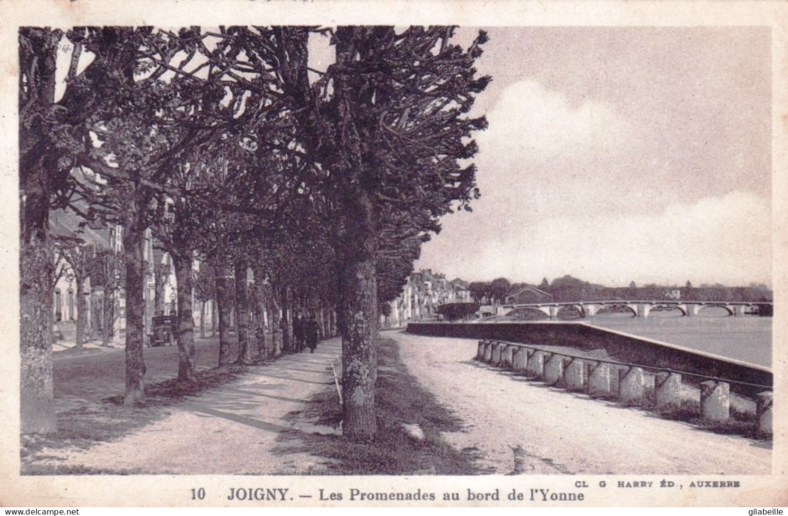 89 - Yonne -  JOIGNY -  Les Promenades Au Bord De L Y Onne - Joigny