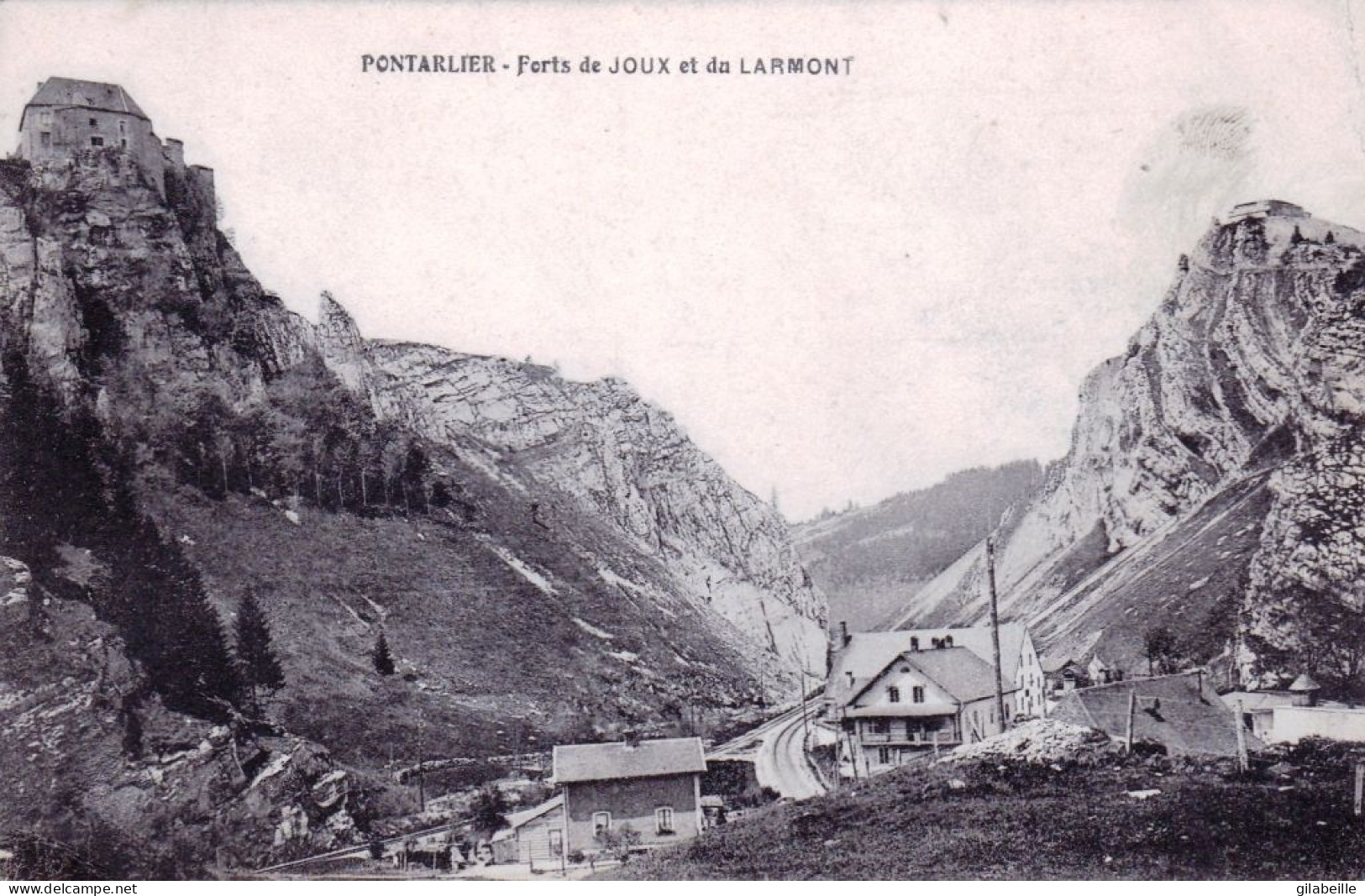 25 - Doubs -  PONTARLIER -  Forts De Joux  Et De Larmont - Pontarlier