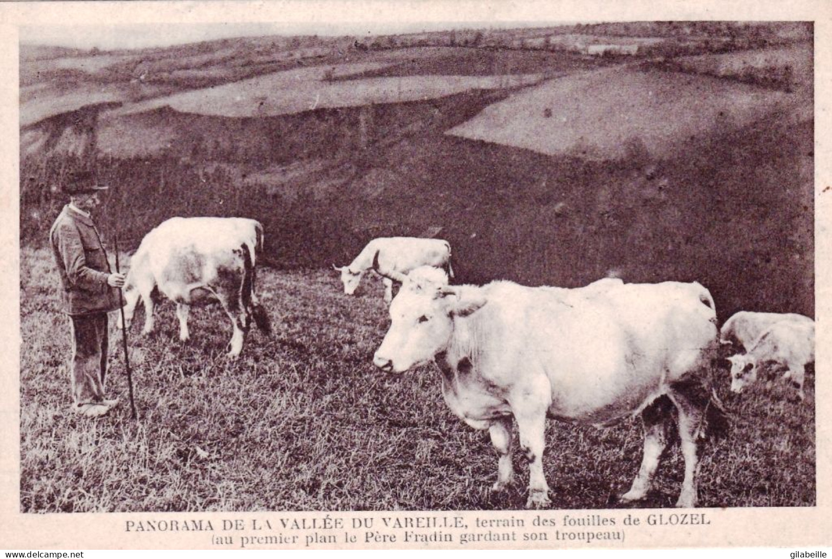 89 - Yonne  -  Panorama De La Vallée Du VAREILLES - Terrain Des Fouilles De Glozel - Autres & Non Classés