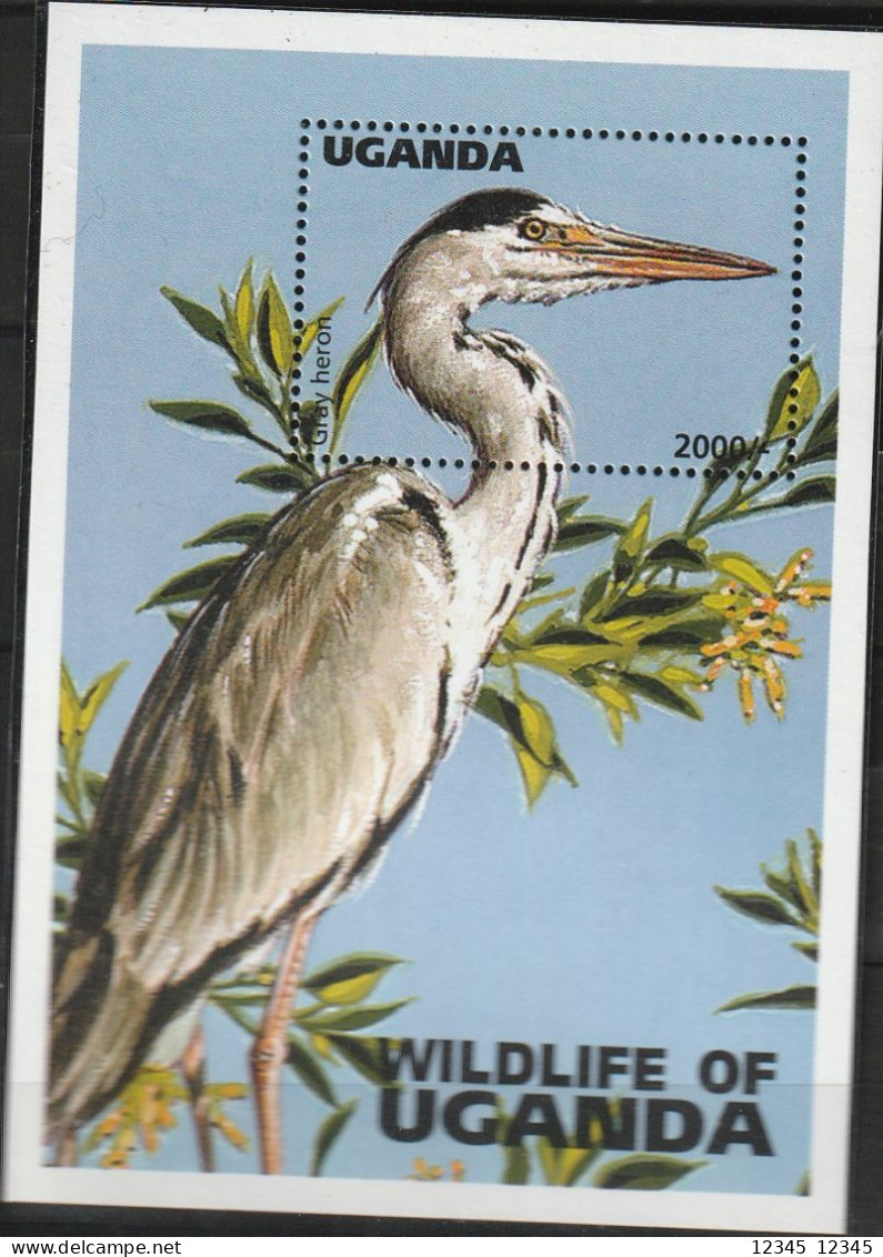 Uganda 1996, Postfris MNH, Birds - Oeganda (1962-...)