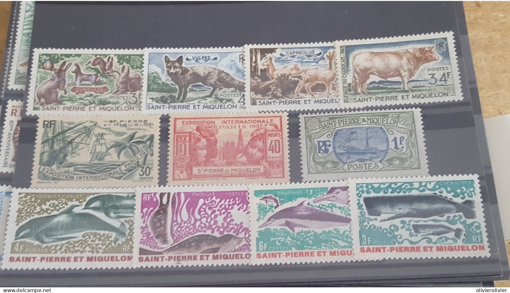 REF A3835 COLONIE FRANCAISE SPM - Collections, Lots & Series