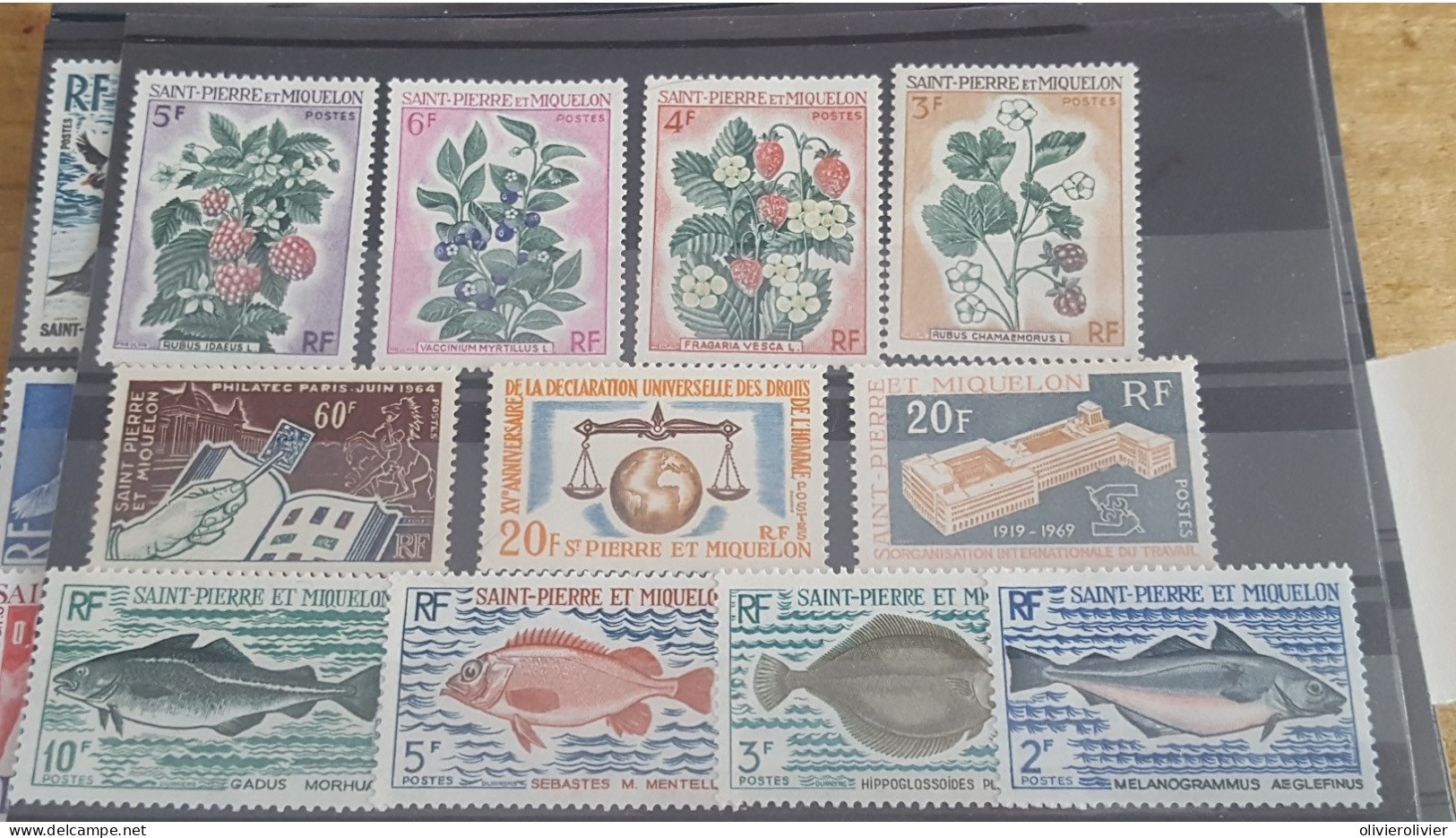 REF A3837 COLONIE FRANCAISE SPM - Collections, Lots & Séries