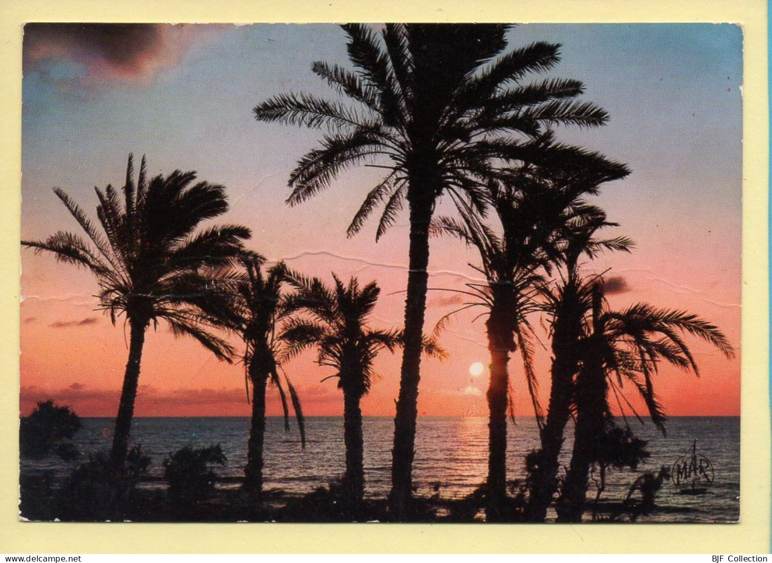 Coucher De Soleil : La Méditerranée (voir Scan Recto/verso) - Hold To Light