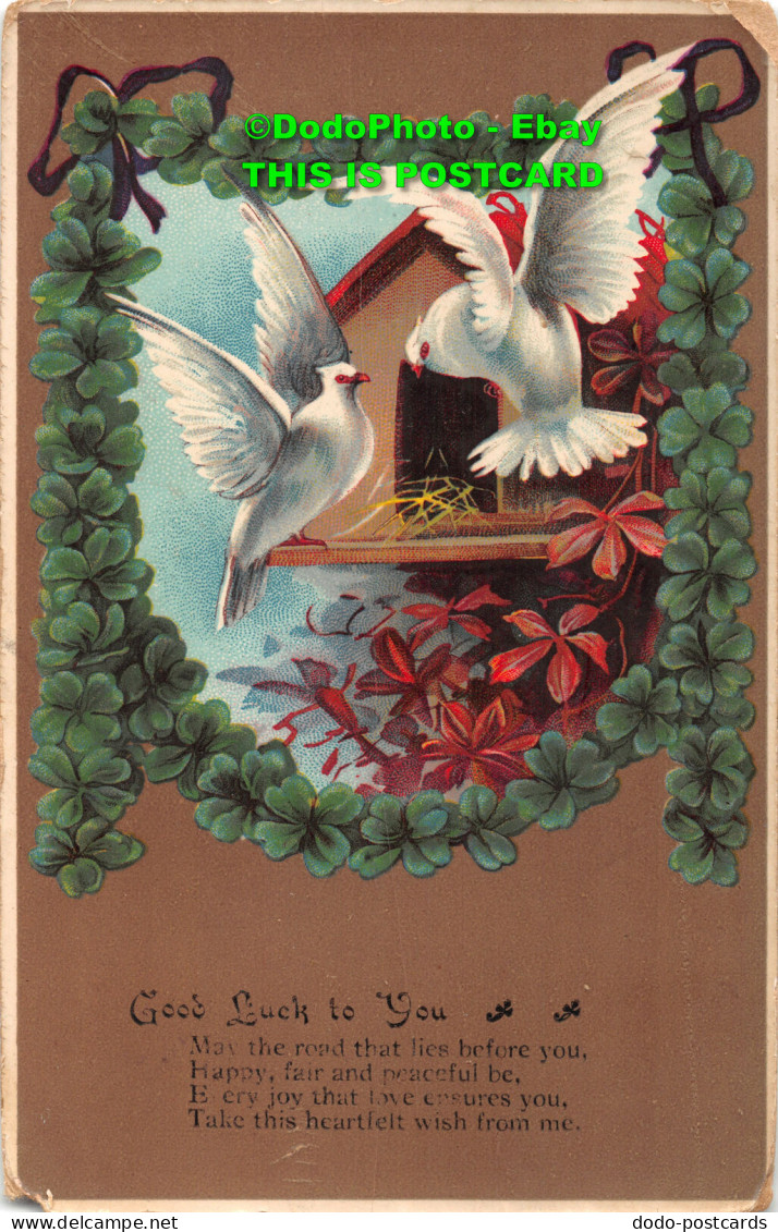 R420749 Good Luck To You. Two White Pigeons. Ser. 7803. 1910 - World