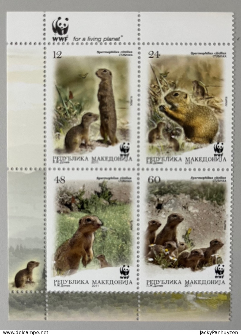 WWF 2011 : MACEDONIA - Squirrels - MNH ** - Ungebraucht