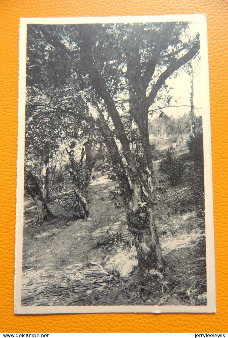 OIGNIES-en-THIERACHE -  Gué Rustique Au Fond Des Alisses - Viroinval