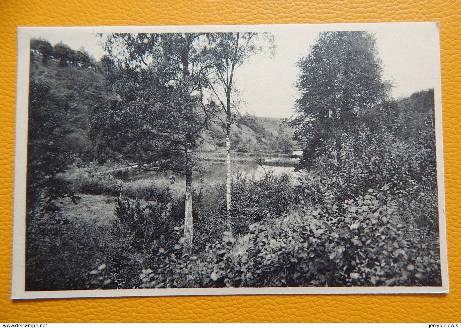 OIGNIES-en-THIERACHE -  Les étangs Du Ry De La Noye Vus Du Vicinal  Vers Olloy - Viroinval