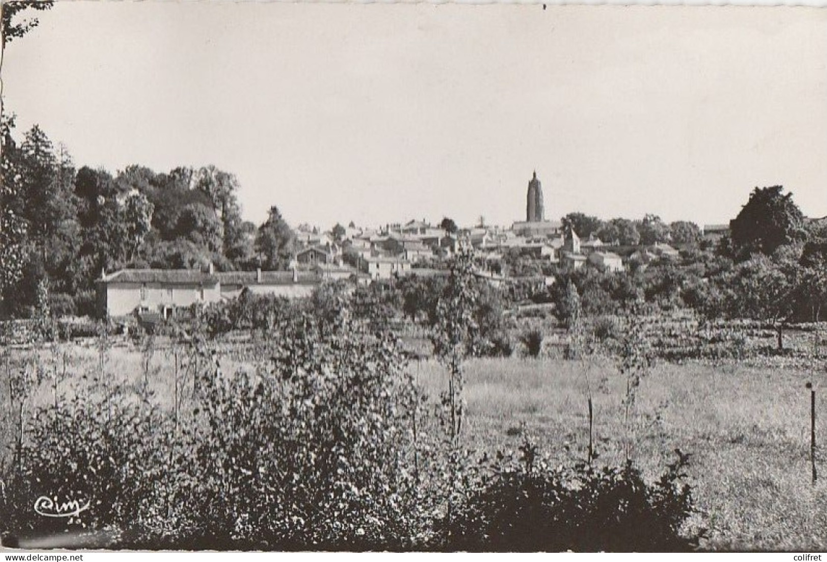 79 - Bressuire  -  Vue Générale De La Ville - Bressuire