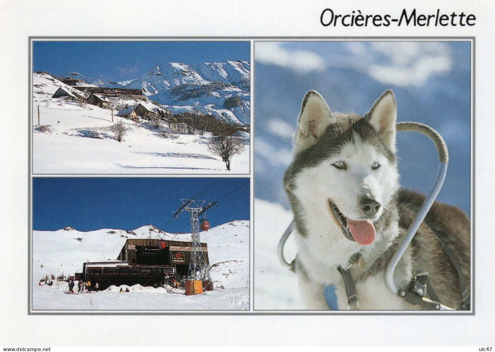 - 05 - ORCIERES-MERLETTE (Htes-Alpes) . Alt. : 1 850 M. - Photo : Ch. Baile. - - Orcieres