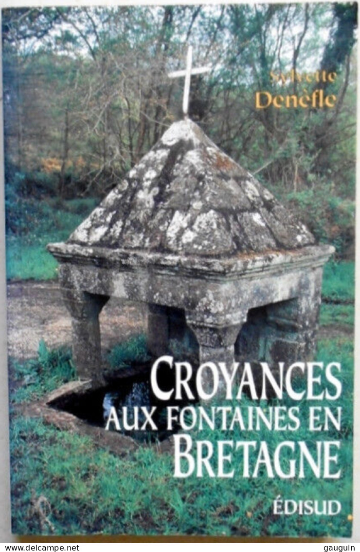 BRETAGNE - "Croyances Aux Fontaines En Bretagne " De Sylvette DENÈFLE - Edisud /1994 / 208 Pages. - Bretagne