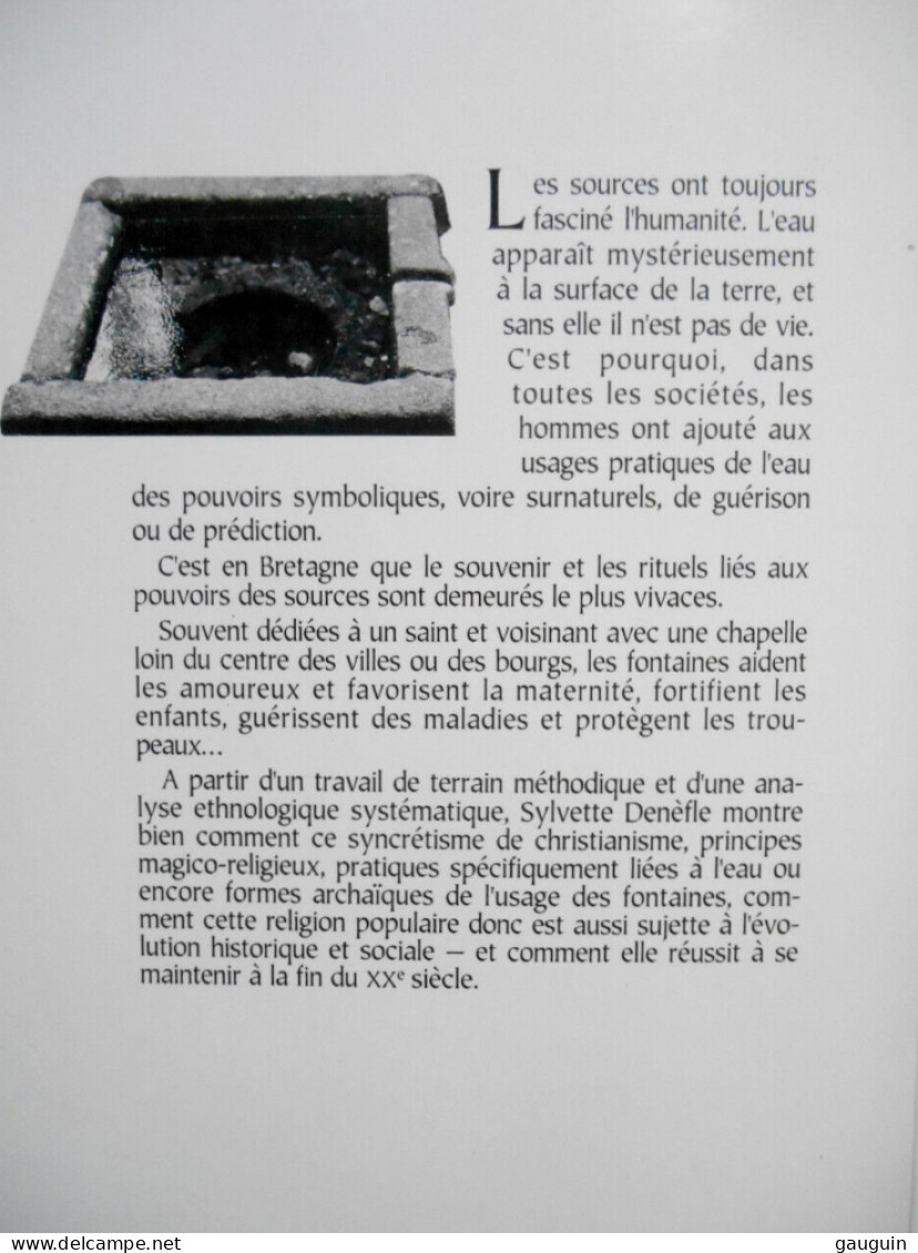 BRETAGNE - "Croyances Aux Fontaines En Bretagne " De Sylvette DENÈFLE - Edisud /1994 / 208 Pages. - Bretagne