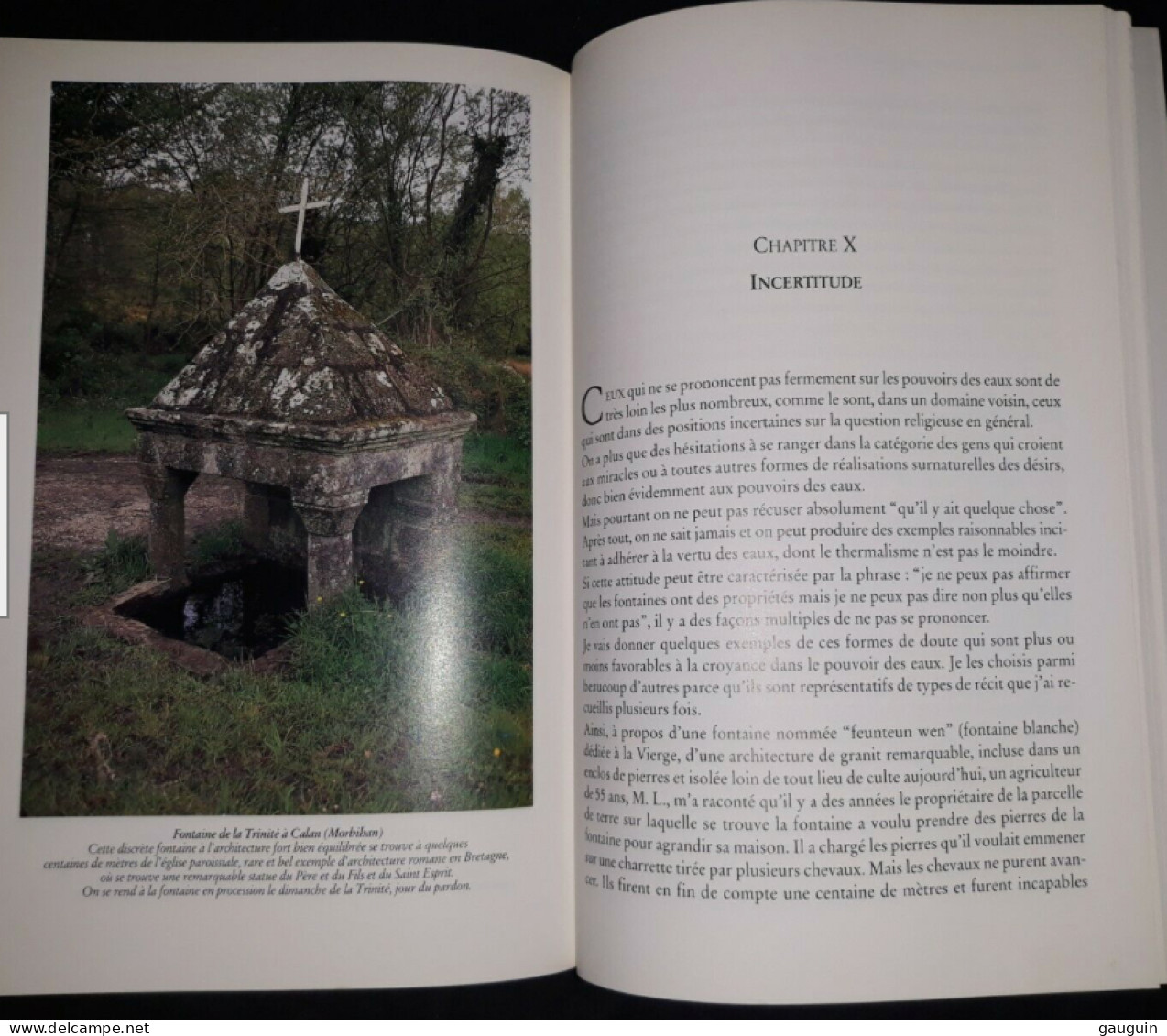BRETAGNE - "Croyances aux Fontaines en Bretagne " de Sylvette DENÈFLE - Edisud /1994 / 208 pages.