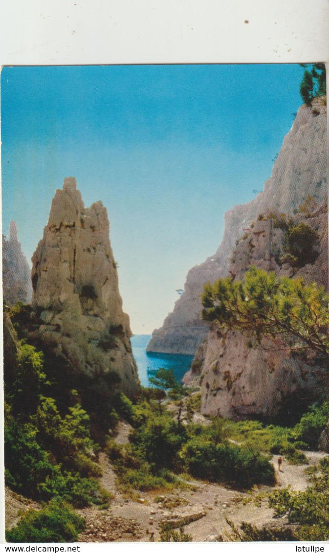 Nos Belles Calanques En VAU  13  Carte Circulée - Sonstige & Ohne Zuordnung