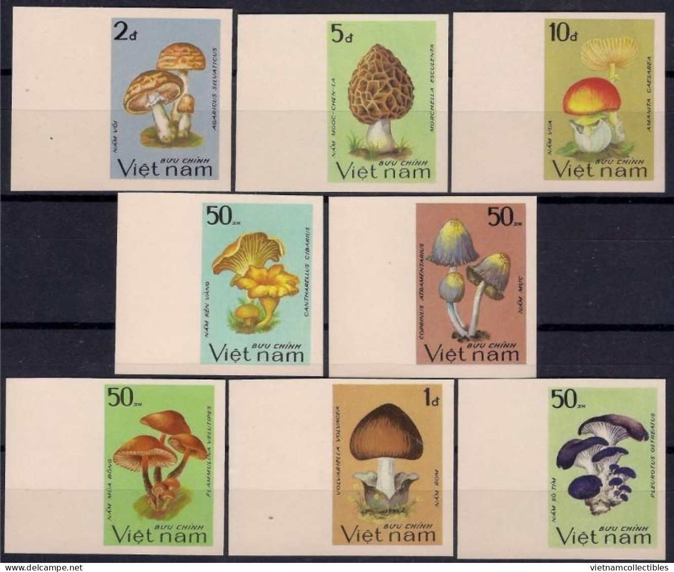 Vietnam Viet Nam MNH Imperf Stamps 1983 : Edible Mushrooms / Mushroom (Ms425) - Vietnam