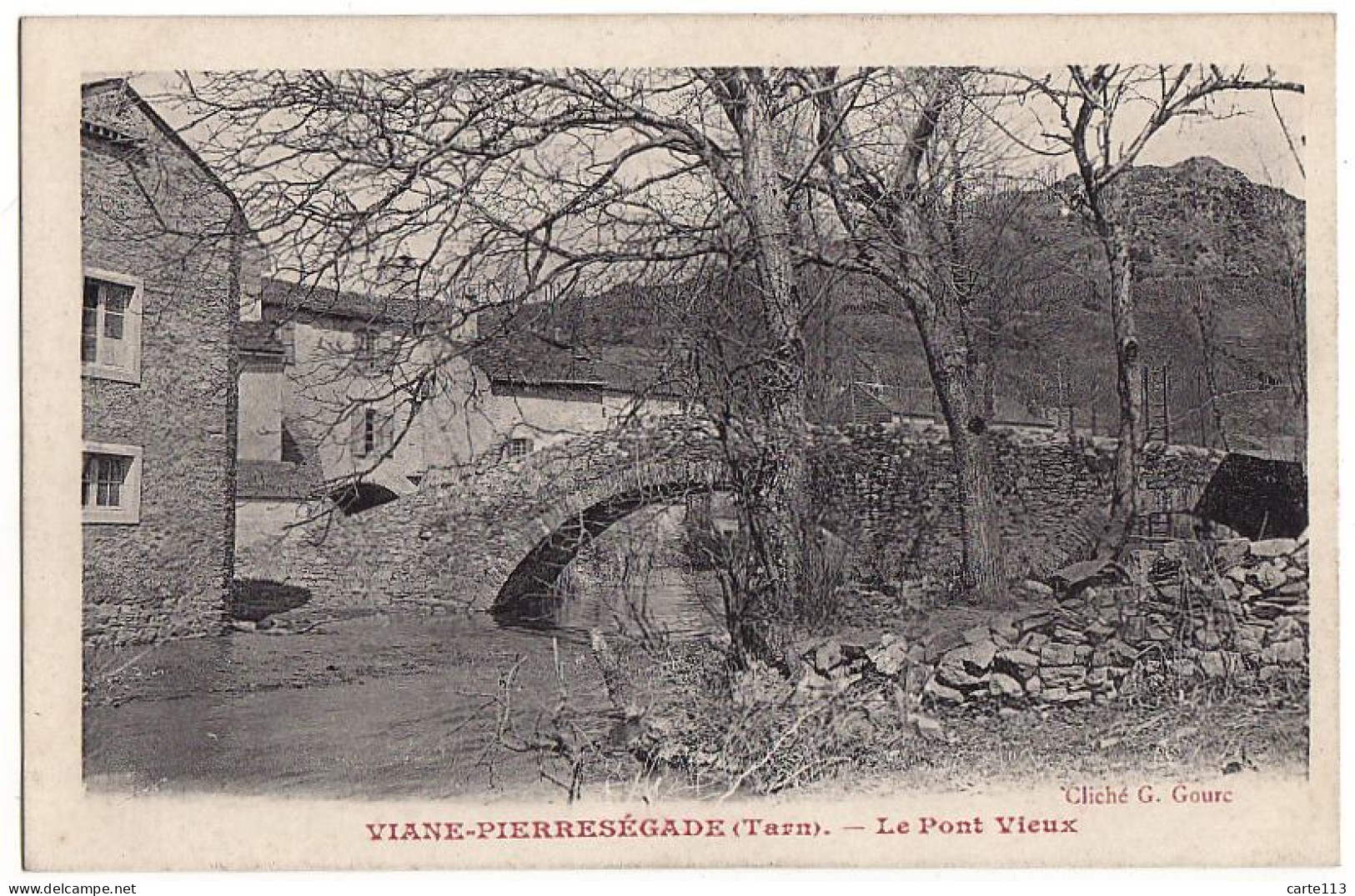 81 - B16521CPA - VIANE PIERRESEGADE - Le Pont Vieux - Parfait état - TARN - Autres & Non Classés