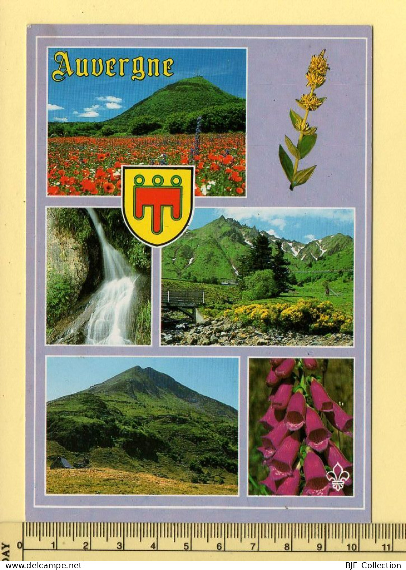 Auvergne : L'Auvergne Pittoresque – Multivues / Blason (voir Scan Recto/verso) - Auvergne