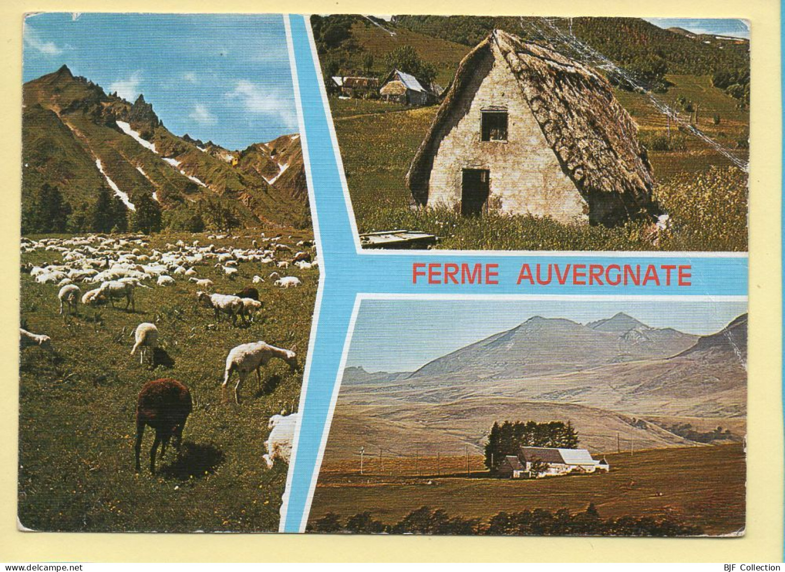 Auvergne : Ferme Auvergnate / 3 Vues / Carte Toilée (voir Scan Recto/verso) - Auvergne