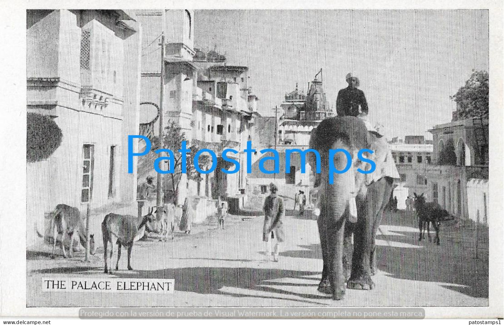 228971 NEPAL THE PALACE ELEPHANT POSTAL POSTCARD - Népal