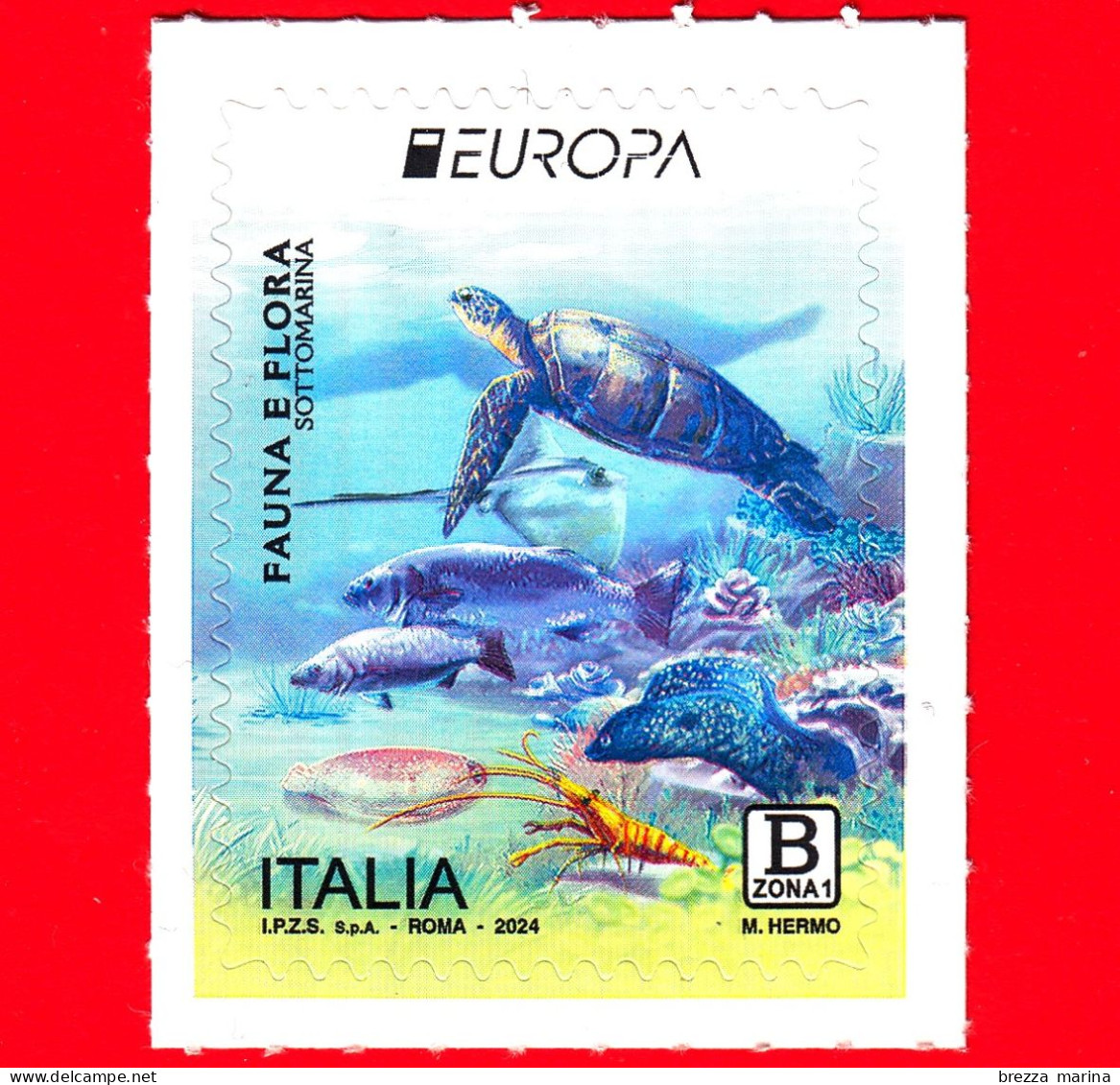 Nuovo - MNH - ITALIA - 2024 - Europa – Fauna E Flora Sottomarina – Tartaruga - B Zona 1 - 2021-...: Ungebraucht