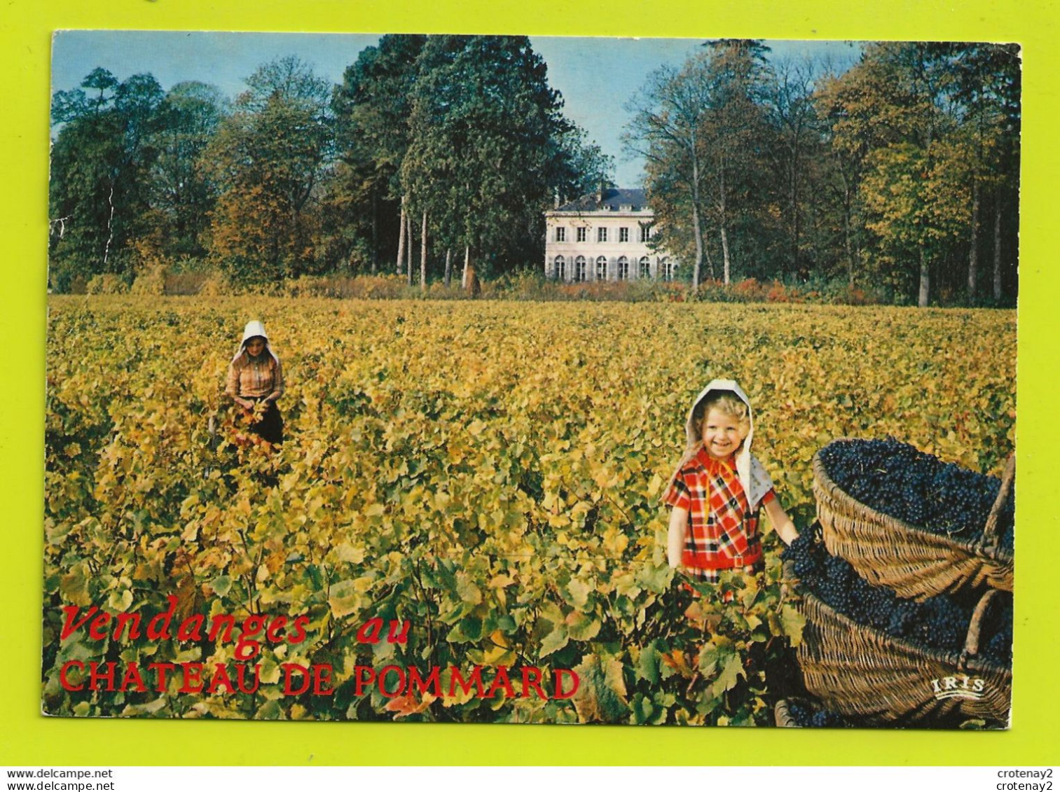 21 Vendanges Château De Pommard Vers Beaune N°1535 J.L Laplanche Propriétaire En 1974 Vignes Raisin Enfant - Vignes