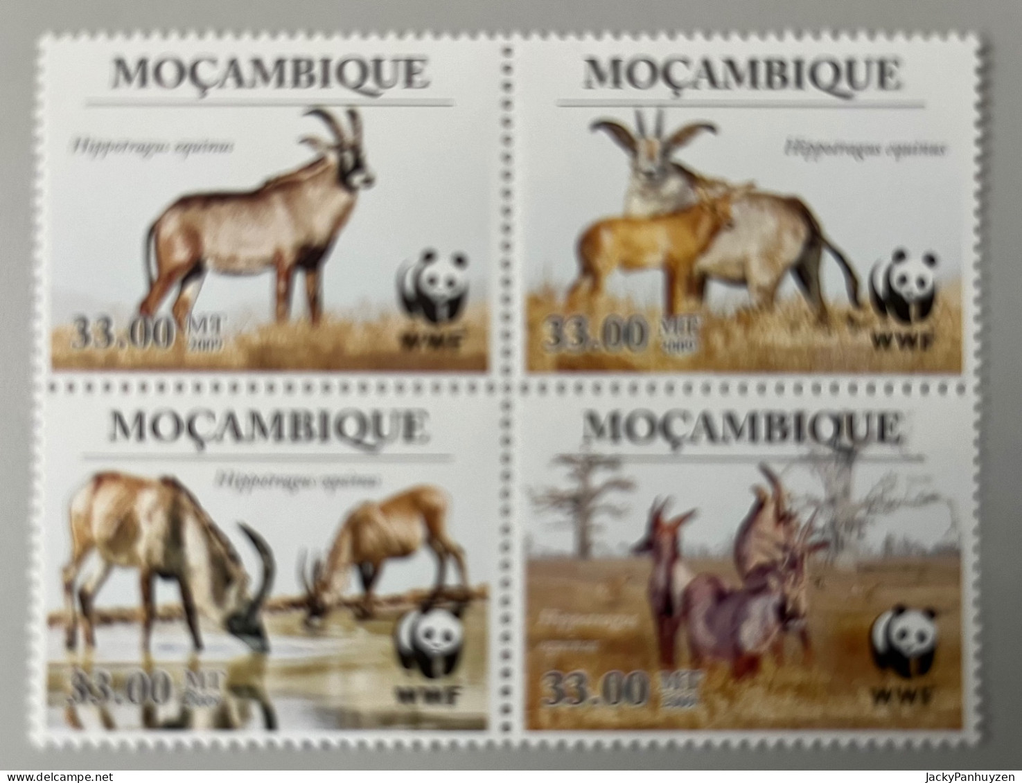 WWF 2010 : MOCAMBIQUE - Antelope  - MNH ** - Nuevos