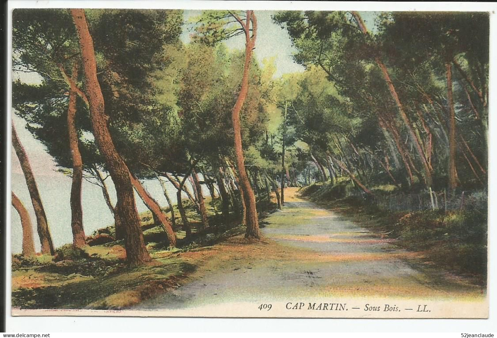 Cap Martin  Le Sous Bois     1916     N° 409 - Sonstige & Ohne Zuordnung