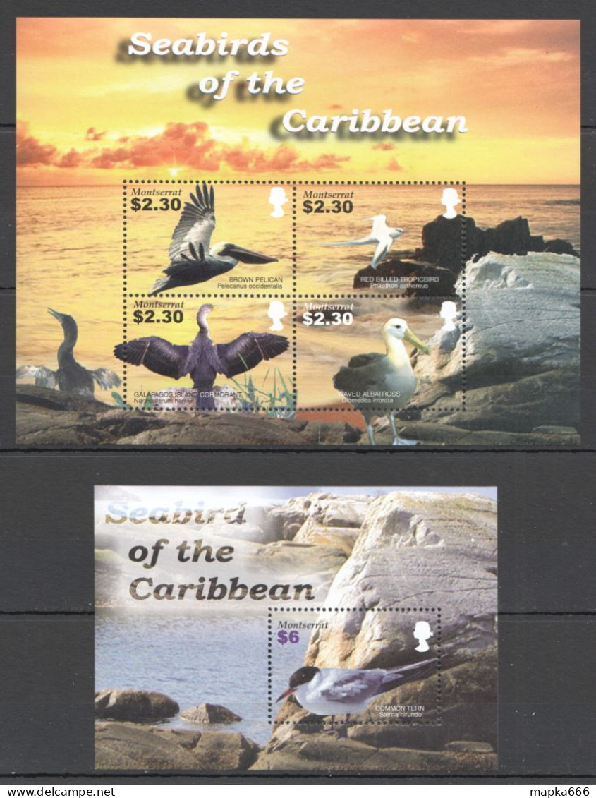 Fat028 2005 Montserrat Seabirds Of The Caribbean Fauna #1271-4+Bl104 Mnh - Altri & Non Classificati