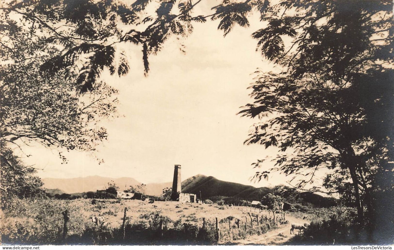 NOUVELLE CALEDONIE - Usine Sucrière - Champs De Cannes à Sucre - Cheminée - Carte Postale Ancienne - Nueva Caledonia