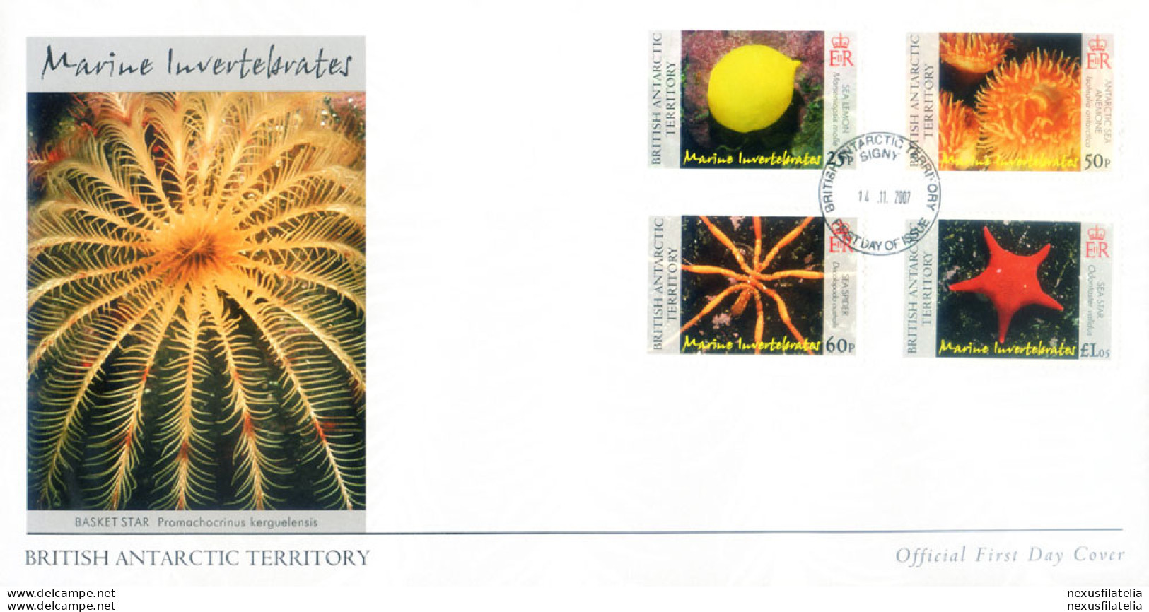 Fauna. Invertebrati Marini 2007. FDC. - Other & Unclassified