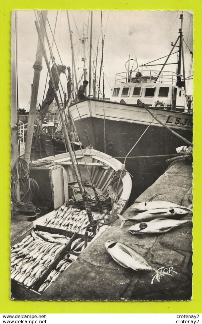Gros Plan Bateau Pêcheurs Poissons Pêche Au THON N°11022 2 En Parcourant La Côte En 1960 VOIR DOS - Pesca