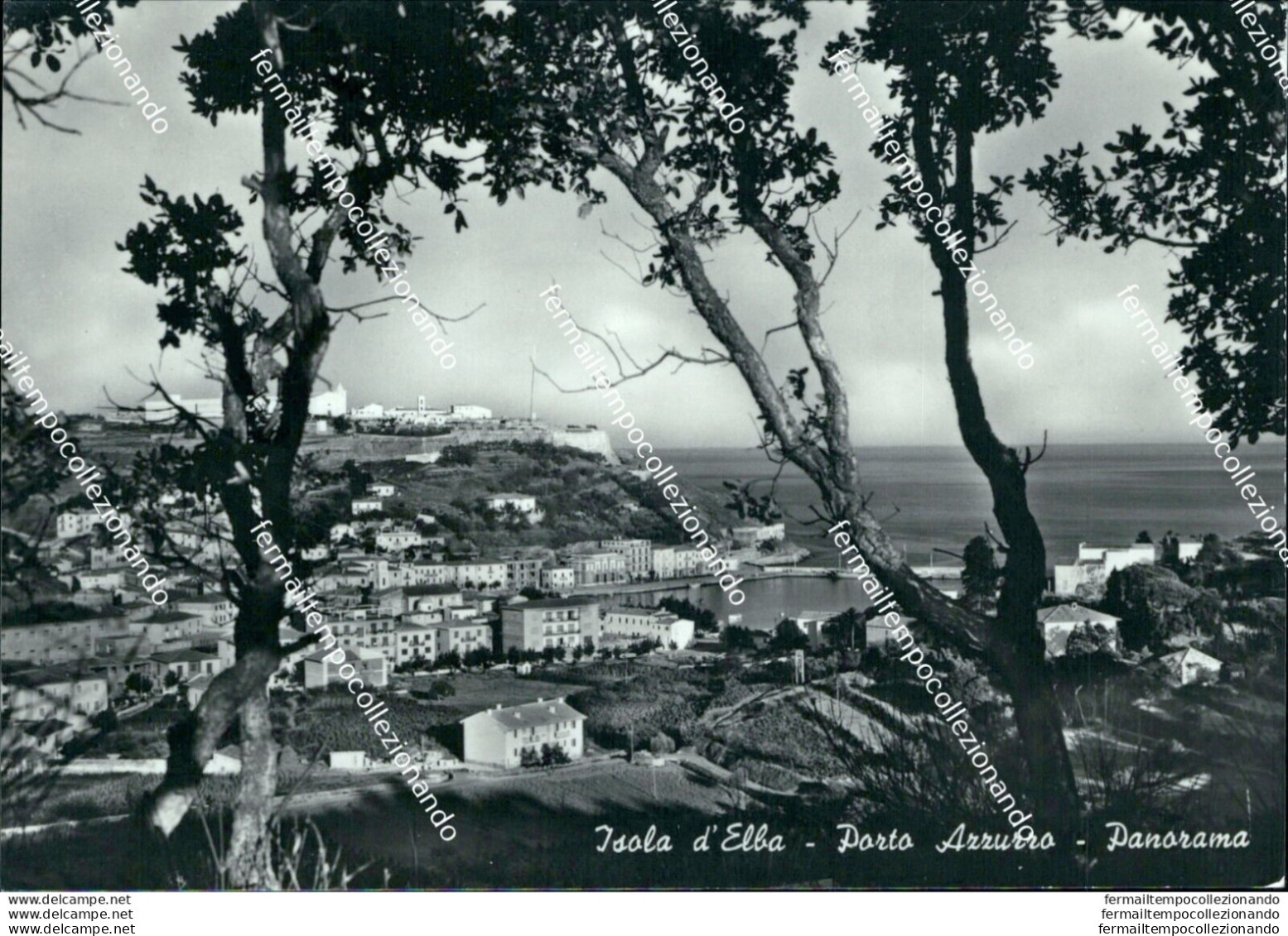 Bi345 Cartolina Isola D'elba Porto Azzurro Panorama Provincia Di Livorno - Livorno