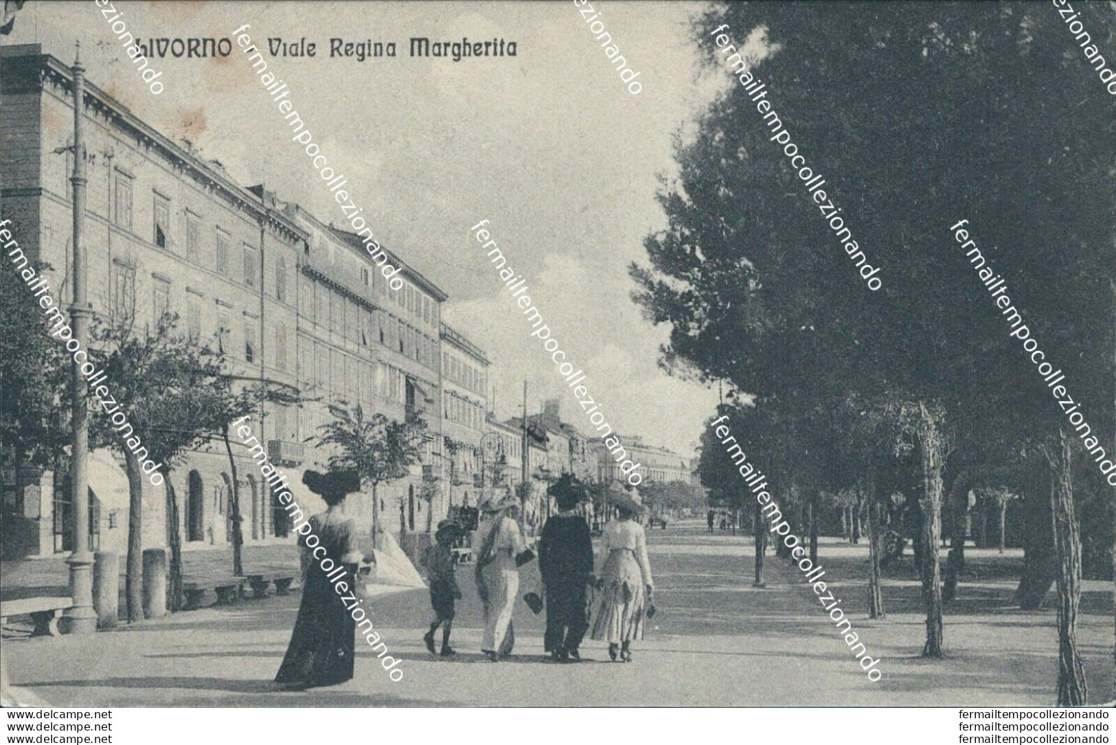 Bg307 Cartolina Livorno Citta' Viale Regina Margherita 1920 - Livorno