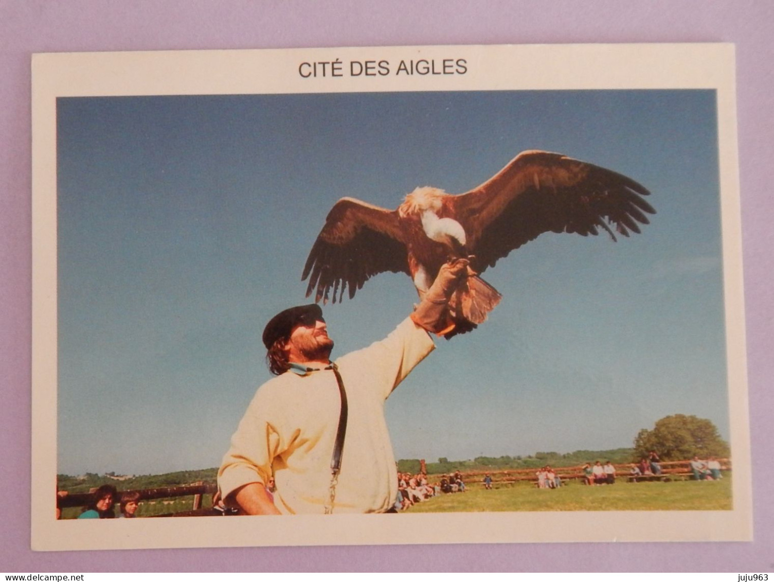 BIDACHE "CITE DES AIGLES" N'a Pas Voyagé - Bidache